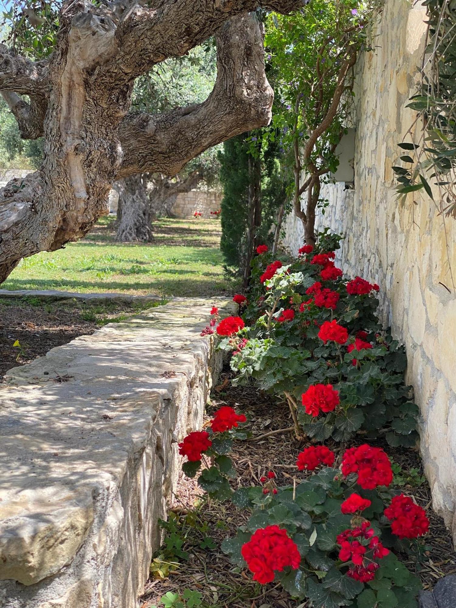 לרפטרה Villa Marmelada מראה חיצוני תמונה